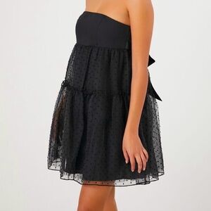 NWT gorgeous tulle babydoll dress